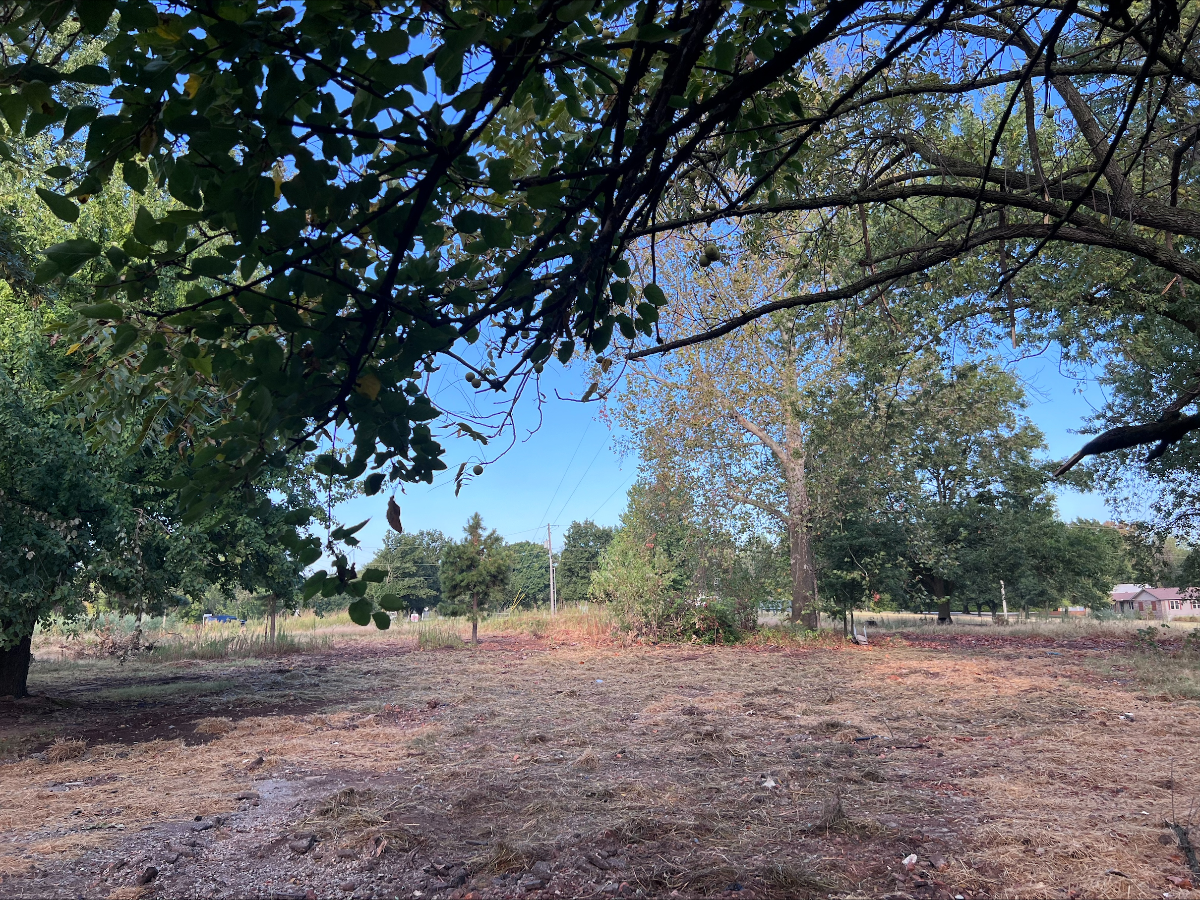 Later open-ground view at Tract 1XHR.