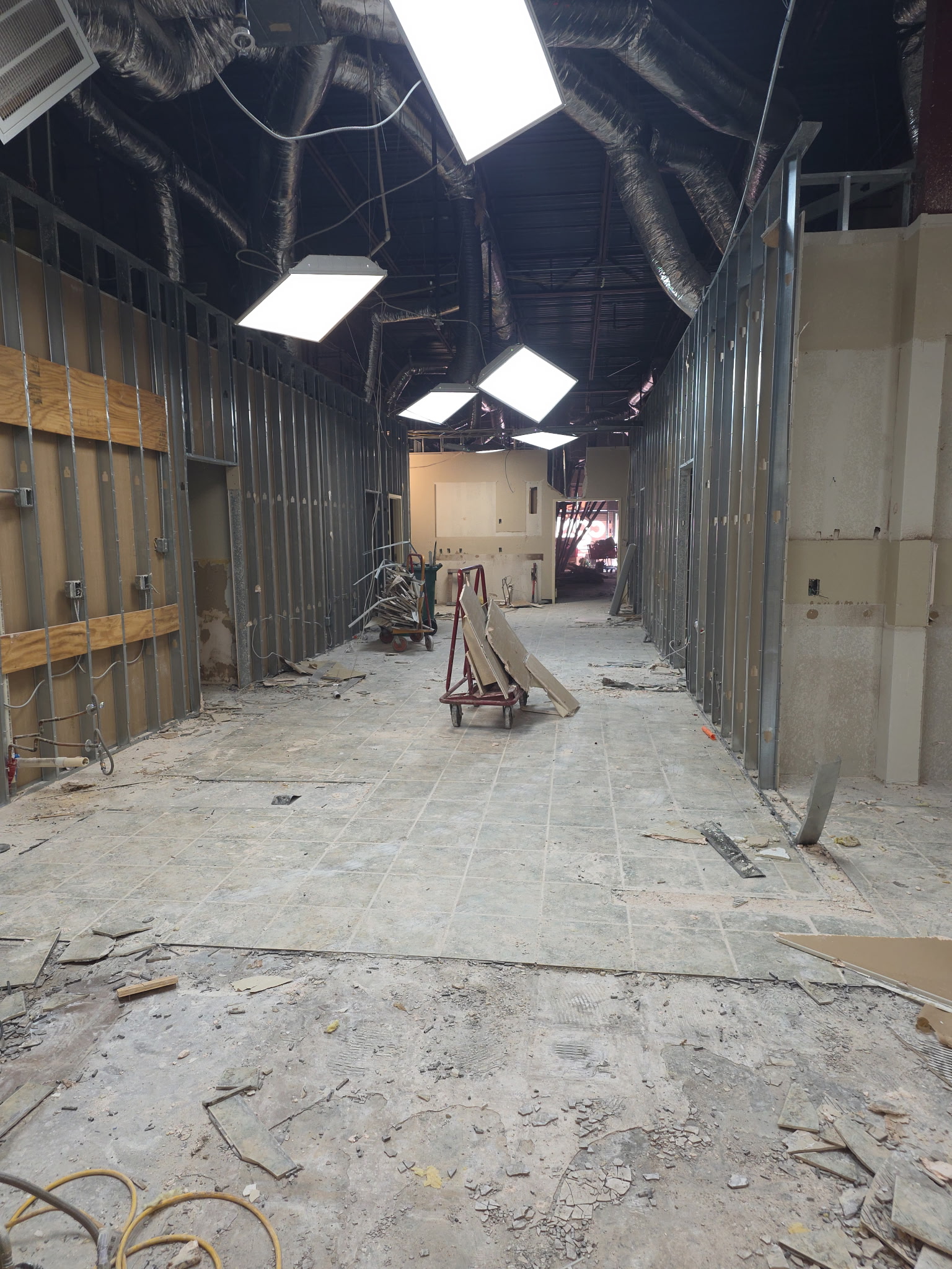 Interior Selective Demolition