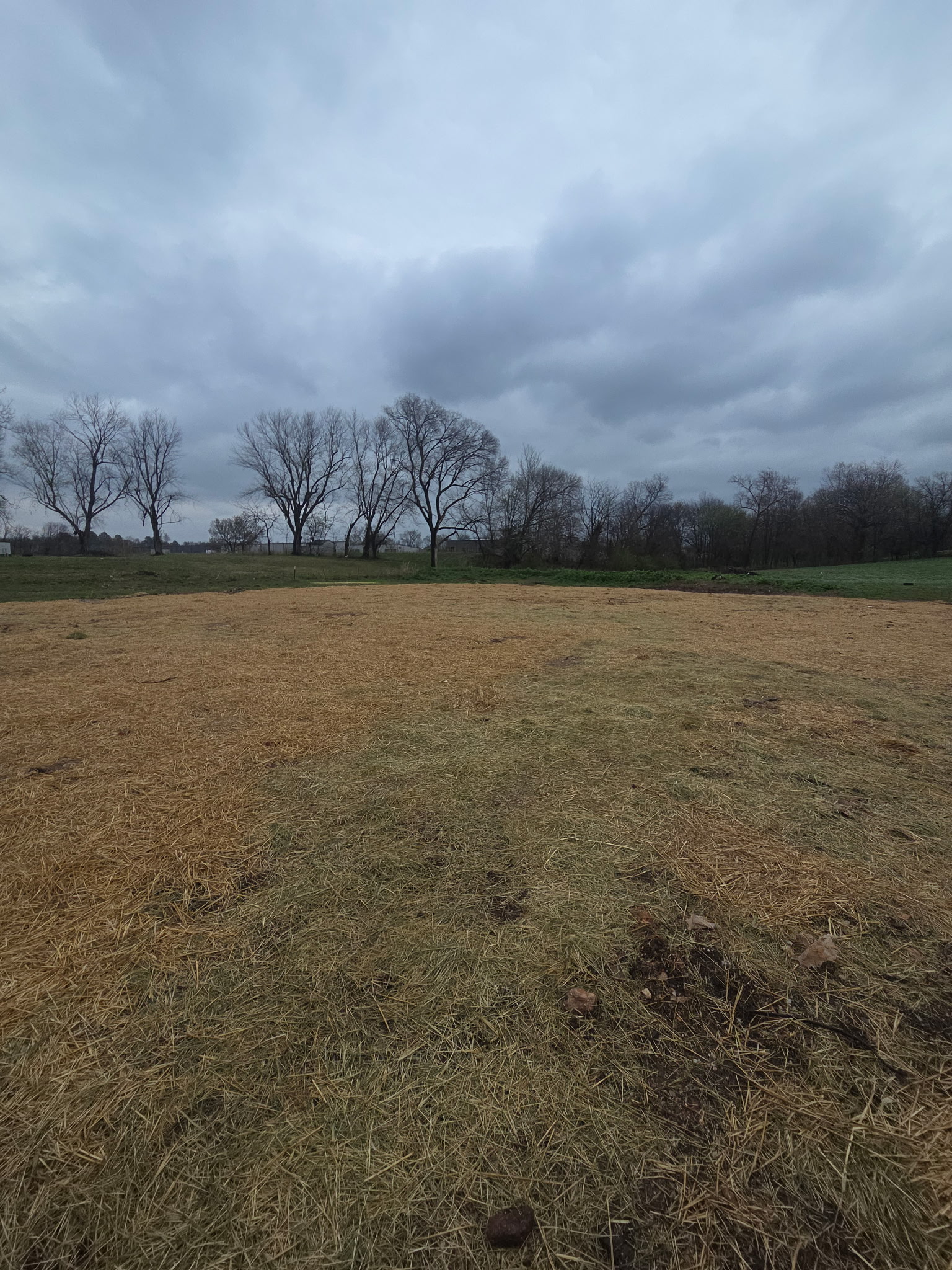 Broad later view across the open tract.