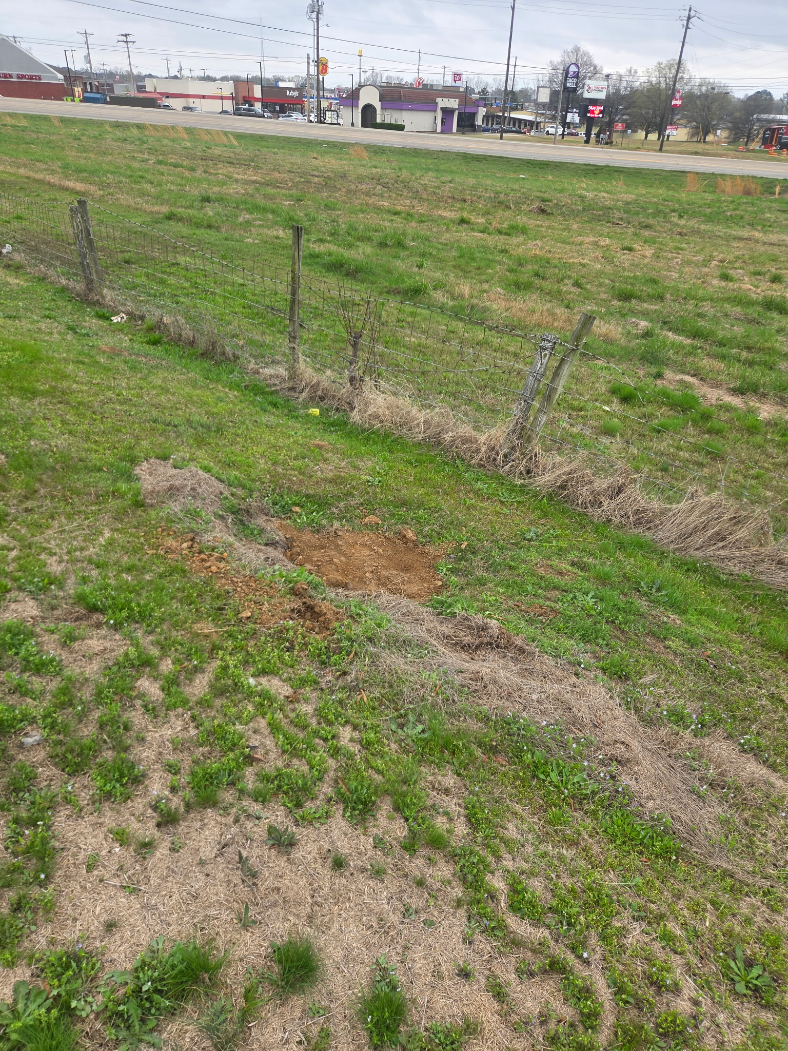 Later open-ground condition across the property.