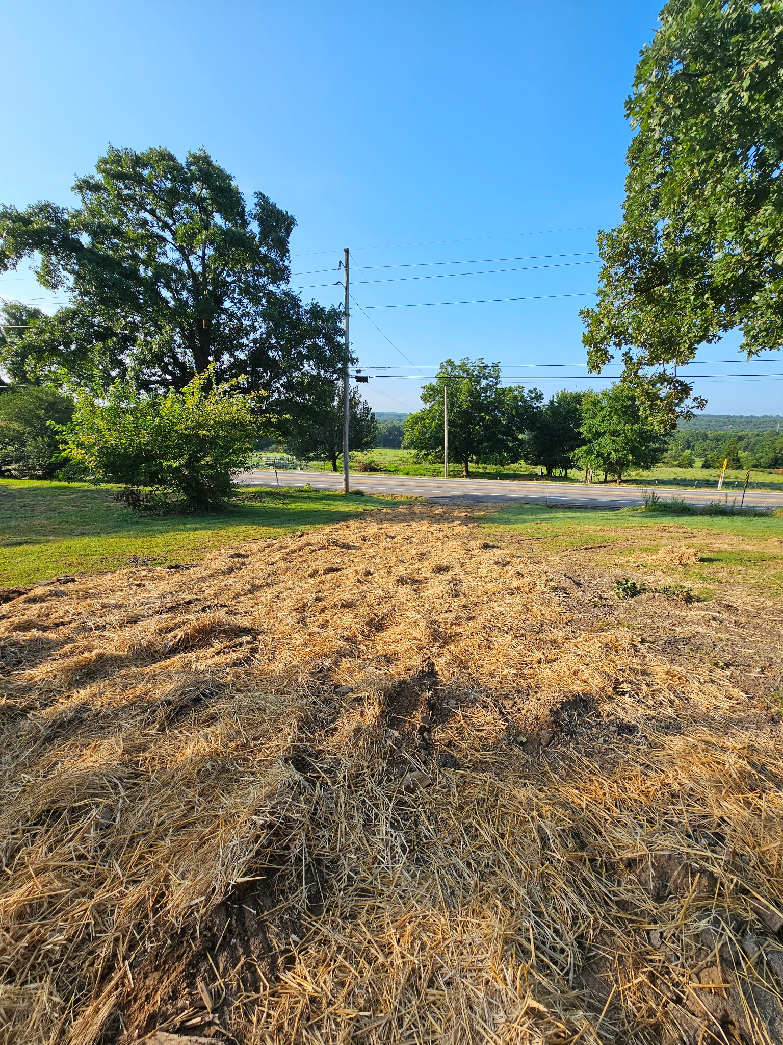 Later view across disturbed ground toward retained trees.