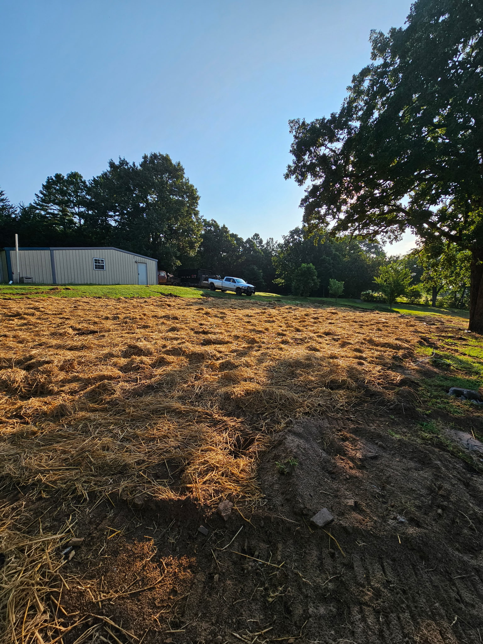 Alternate later perspective across the open tract.